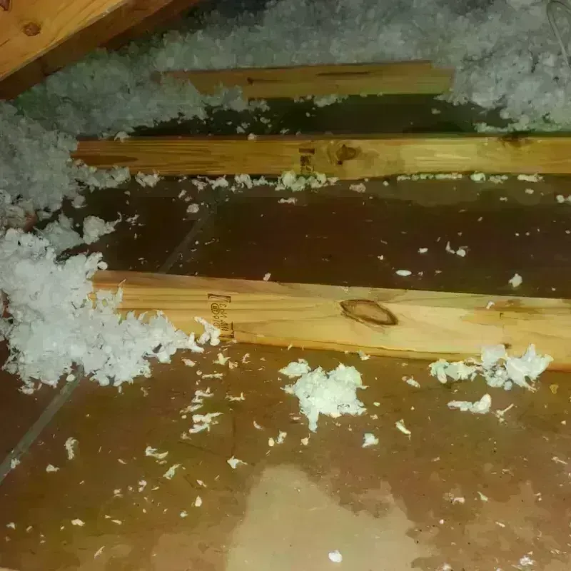 Attic Water Damage in McCook, NE