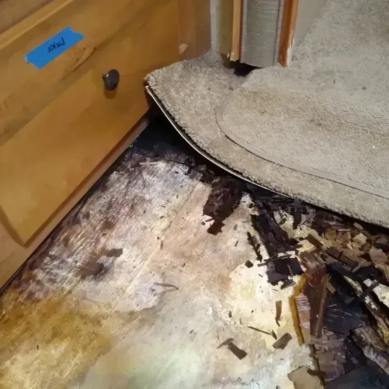 Wood Floor Water Damage in McCook, NE